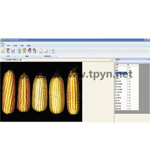 自動種子考種分析及千粒重儀系統(tǒng)可以準(zhǔn)確預(yù)測玉米產(chǎn)量