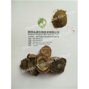 大黃提取物 Rhubarb Root P.E 大黃素50% CAS號：518-82-