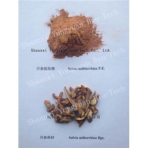 丹參提取物 Salvia Root P.E. 丹酚酸B 丹參酮IIA