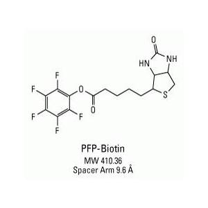 PFP-Biotin，Biotin-PFP，Biotin-PFP-ester