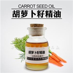 胡蘿卜籽精油