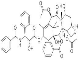 7-表紫杉醇