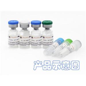 Recombinant Rhesus Macaque IL-8/CXCL8