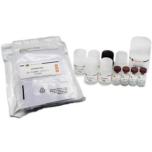 Rat IFN-γ ELISA Kit