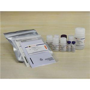 Mouse TNF-α ELISA Kit