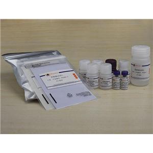 Mouse IL-6 ELISA Kit