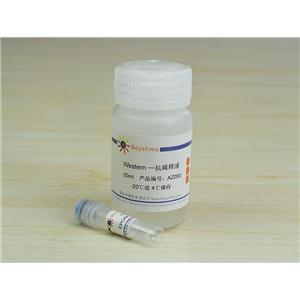 EPCAM Mouse Monoclonal Antibody