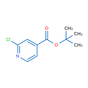 2-氯異煙酸叔丁酯