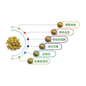 黃芩提取物