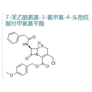 GCLE/7-苯乙酰胺基-3-氯甲基頭孢烷酸對甲氧卞酯/