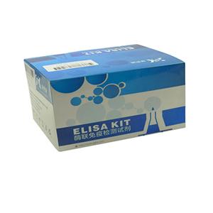 人絲裂原活化蛋白激酶激酶6(MKK6)ELISA KIT