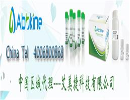 TRAKINE PRO 活細(xì)胞溶酶體染色試劑盒