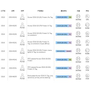 CD19蛋白