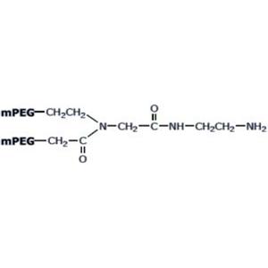 Y-shape PEG Amine