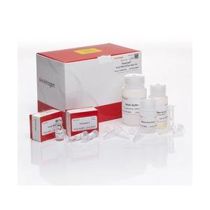 PureLink Viral RNA/DNA Mini Kit