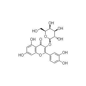 金絲桃苷；槲皮素-3-O-β-D-吡喃半乳糖苷