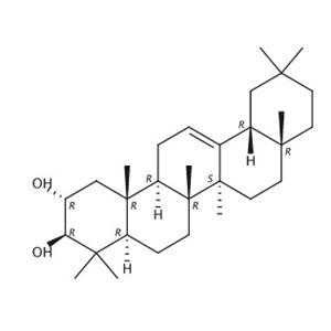 2α,3β-二羥基齊墩果烷-12-烯