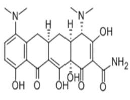 米諾環(huán)素