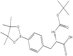 Boc-4-pinicalborane-L-phenylalanine