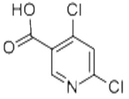 4,6-二氯吡啶-3-羧酸