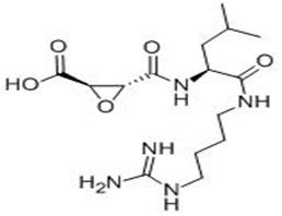 N-(反式-環(huán)氧丁二酰基)-L-亮氨酸-4-胍基丁基酰胺