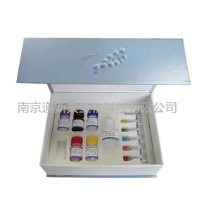 小鼠凋亡誘導因子(AIF)ELISA KIT