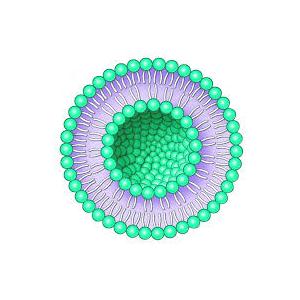 水溶性維生素D3, 維生素D3脂質(zhì)體，納米包裹維生素D3，維生素D3納米乳