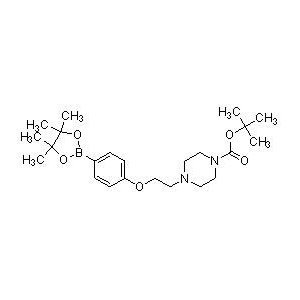 4-(2-(4-頻哪醇硼酸酯苯氧基)乙基)哌嗪-1-甲酸叔丁酯4-(2-(4-頻哪醇硼酸酯苯氧基)乙基)哌嗪-1-甲酸叔丁酯