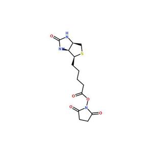 N-羥基琥珀酰亞胺生物素