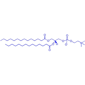 1,2-二肉豆蔻酰-sn-甘油-3-磷酸膽堿