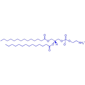 DMPE（1,2-二肉豆蔻酰-sn-甘油-3-磷酰乙醇胺）