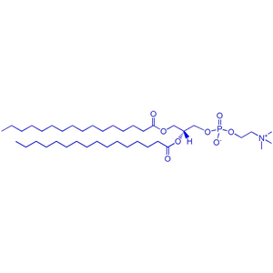 DPPC（1,2-二棕櫚酰-sn-甘油-3-磷酰膽堿）