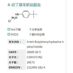 4-叔丁基苯肼鹽酸鹽