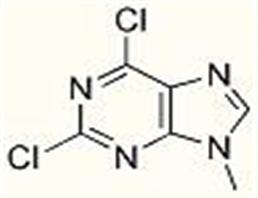 2,6-dichloro-9-methyl-9H-purine