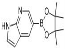 7-氮雜吲哚-5-硼酸頻哪醇酯
