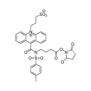 磺酸丙基吖啶酸-NHS酯 （NSP-SA-NHS）