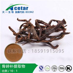 骨碎補提取物，Rhizoma Drynariae Extract