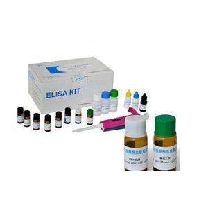 Human cytokeratin fragment antigen 21-1,CYFRA21-1 ELISA Kit