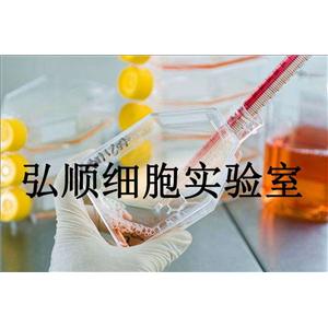 H3396 Cells|人乳腺癌貼壁細(xì)胞