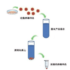 病毒沉淀劑