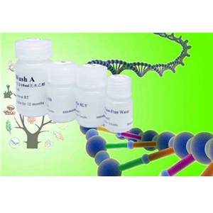 Recombinant Human M-CSF	