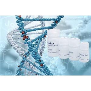 Recombinant Rhesus Macaque IFN-γ