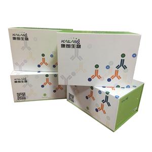 大鼠白細(xì)胞介素17A酶聯(lián)免疫試劑盒