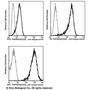 FITC標(biāo)記的CD30抗體