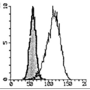 Mouse Anti-Human IgE Antibody