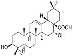 Echinocystic acid