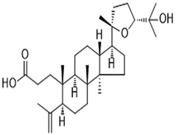 Shoreic acid