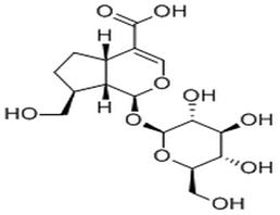 Adoxosidic acid