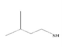 異戊基硫醇