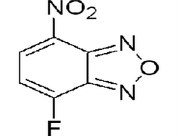 4-氟-7-硝基苯并-2-氧雜-1,3-二唑(NBD-F)